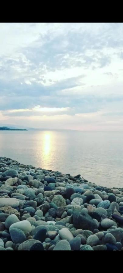 Белый Лотос غاغرا المظهر الخارجي الصورة