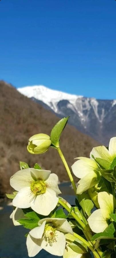 Белый Лотос غاغرا المظهر الخارجي الصورة